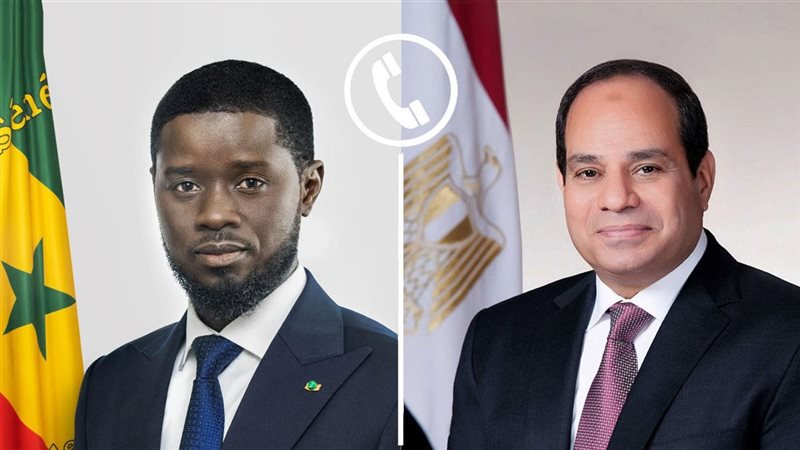 الرئيس السيسي ونظيره