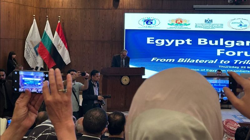 أحمد الوكيل: مصر