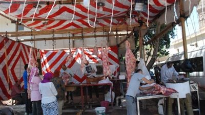 أسعار الخرفان والأبقار الحية للأضاحي بشوادر وزارة التموين (تفاصيل)