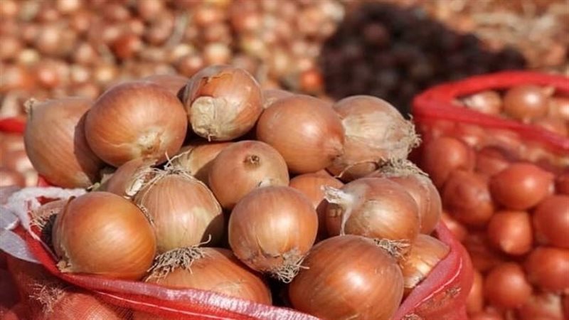 موعد فتح تصدير البصل