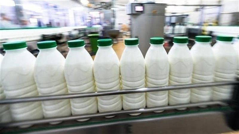 صناعة الألبان في
