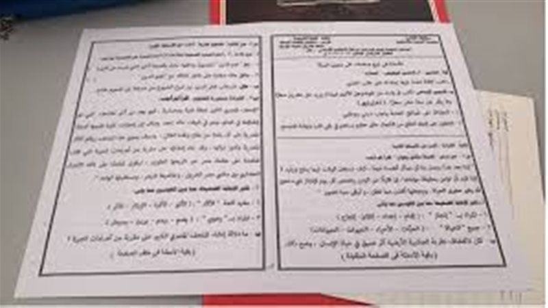 الايام المصرية