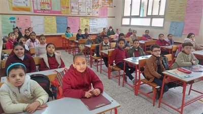 رابط نتيجة الصف الخامس الابتدائي محافظة الجيزة، استعلم بالإسم فقط