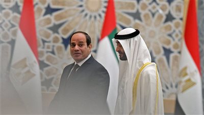 الرئيس السيسي ونظيره الإماراتي يؤكدان على ضرورة إدخال المساعدات الإنسانية إلى غزة