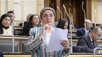 النائبة سميرة الجزار تناشد بضرورة المراقبة على حركة بيع اللحوم