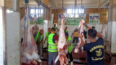 ذبح الأضاحي مجانًا في القاهرة والجيزة 2025، تعرف على أماكن المجازر المعتمدة