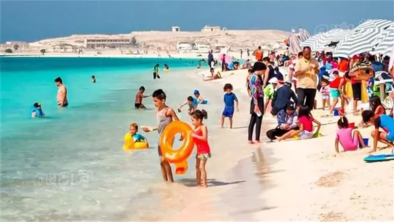 أسعار شقق مرسى مطروح
