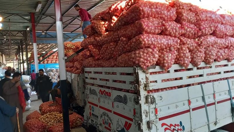 أسعار البصل اليوم