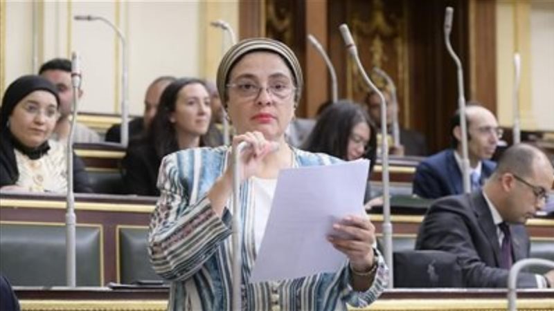 النائبة سميرة الجزار
