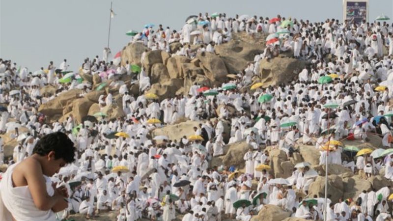 الايام المصرية