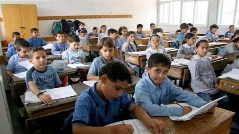 رابط مباشر للاستعلام