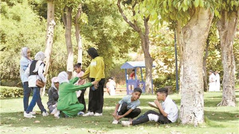 الايام المصرية