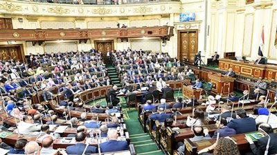 جدول تقسيم الدوائر الانتخابية لمجلس الشيوخ فردي وقوائم |صور