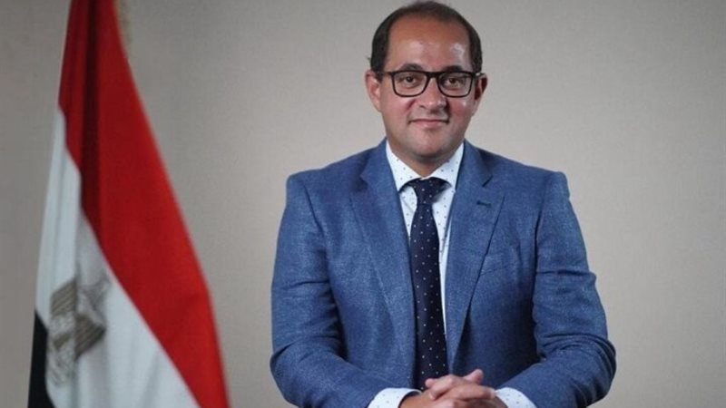 أحمد كجوك، وزير المالية
