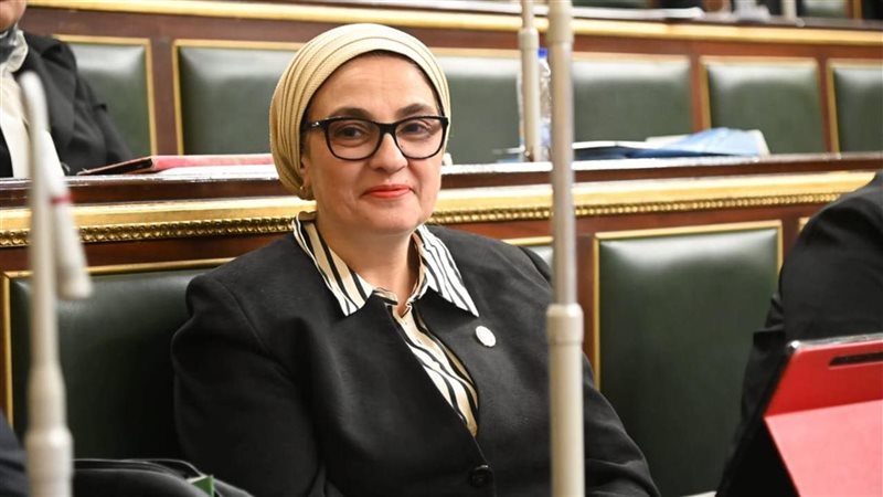 النائبة سميرة الجزار