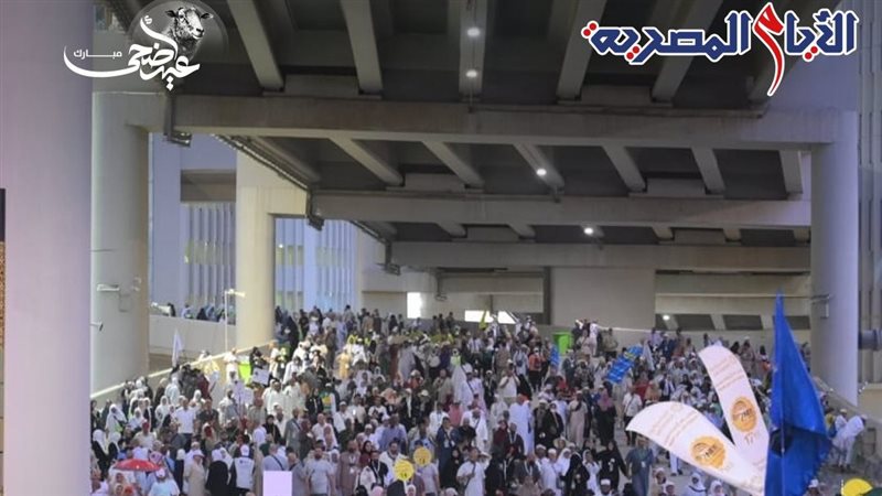 أحمد كجوك وزير المالية