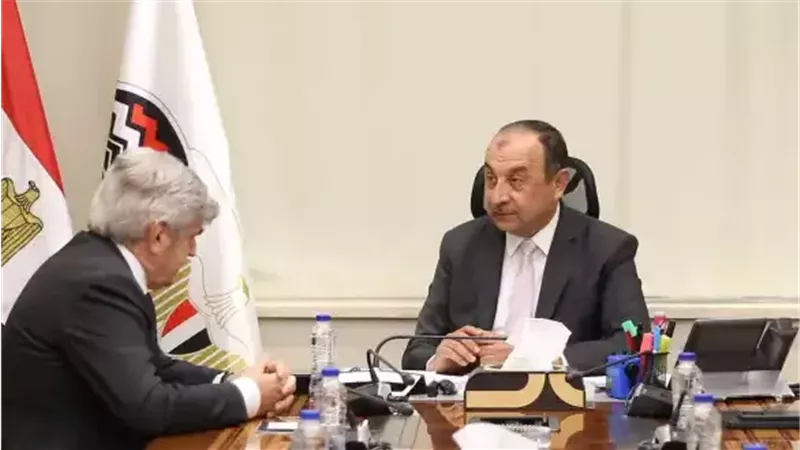 وزير قطاع الأعمال