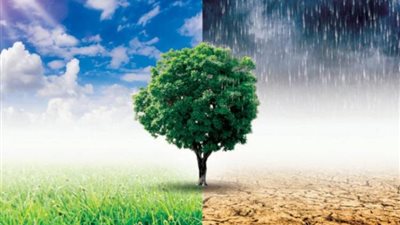 خبير: نزاعات الشرق الأوسط لها مردود بيئي كارثي على المدى القريب والبعيد| فيديو