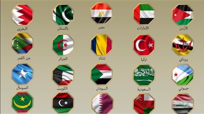 إدانة مصرية عربية للعدوان الإسرائيلي على إيران.. تفاصيل 