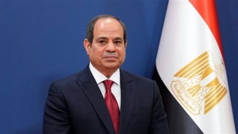 الرئيس السيسي يثمن