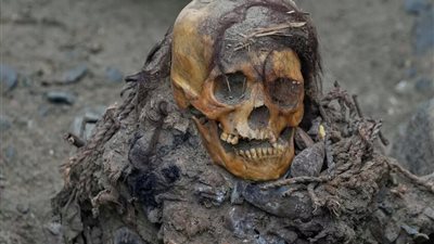 مومياء عمرها ألف عام تُكتشف في بيرو أثناء أعمال حفر خط غاز