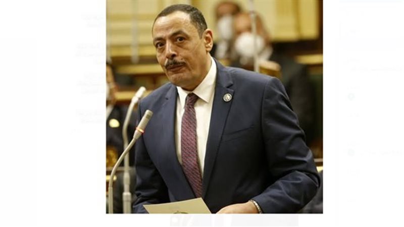 النائب أشرف أمين،