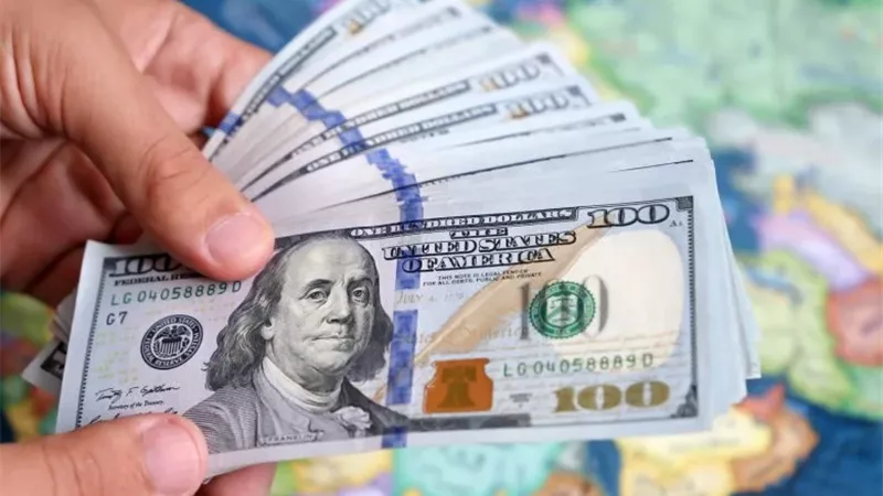 سعر الدولار اليوم