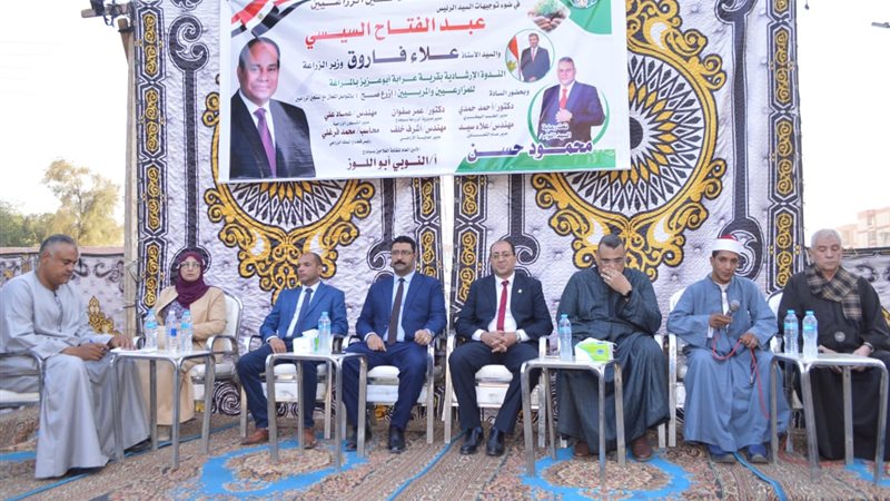 الايام المصرية