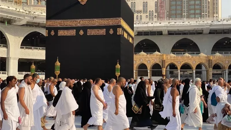 سعر البرنامج الاقتصادي