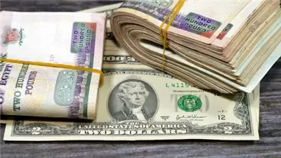 هل ينخفض الدولار إلى 45 جنيهًا؟، الدكتورة حنان رمسيس تشرح السيناريوهات