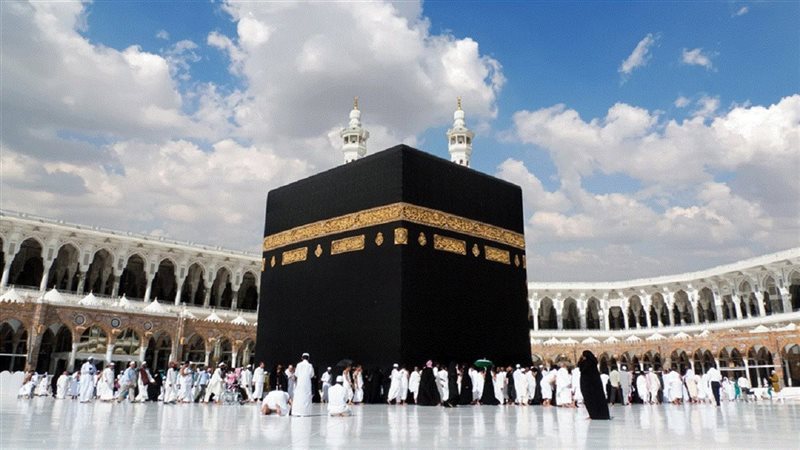 الضوابط الجديدة المنظمة