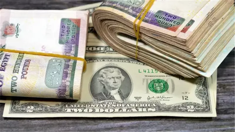 توقعات سعر الدولار