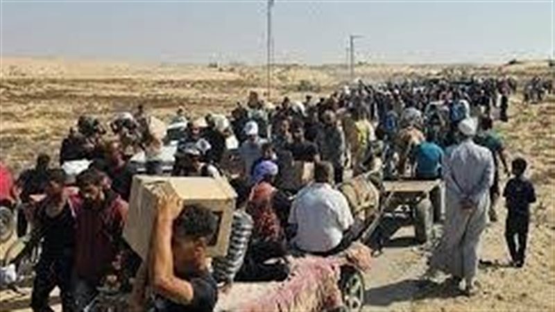 ترحيل جماعي لأكثر