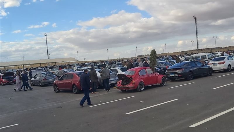 الدكتور إبراهيم صابر،