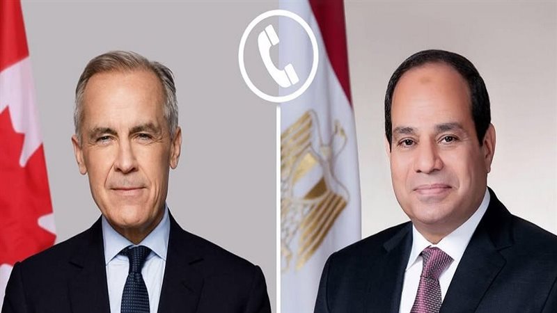 الايام المصرية