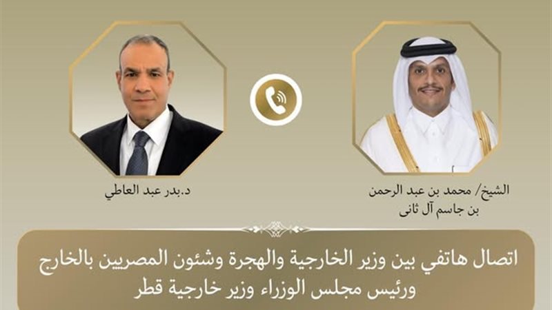 وزيرا خارجية مصر