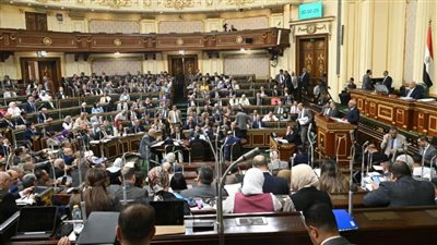 لم نتلق بيانات من الحكومة.. النواب ينفي تصريحات وزيرة التنمية المحلية