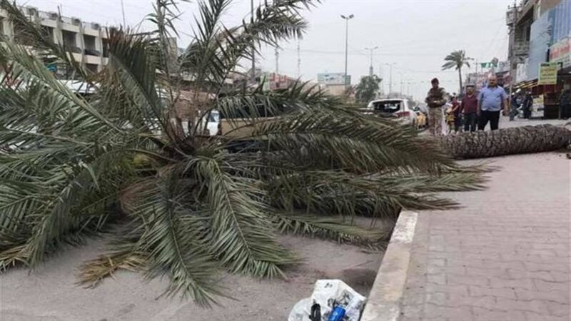 حادث المنوفية اليوم