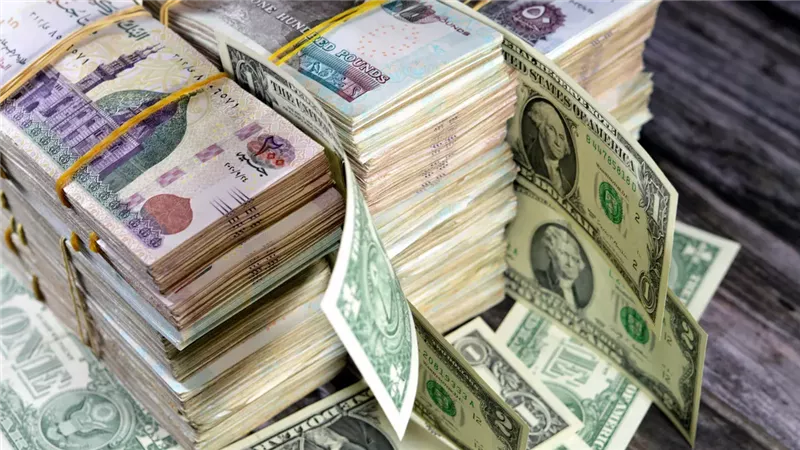 استقرار سعر الدولار