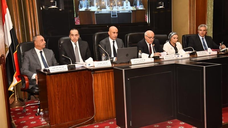 الايام المصرية