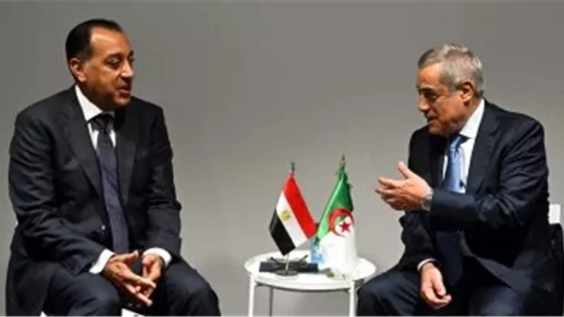 رئيس الوزراء يلتقى