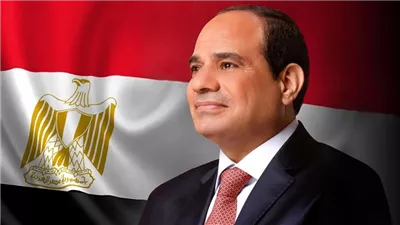 نص كلمة الرئيس السيسي خلال المؤتمر الصحفي مع رئيس الصومال اليوم 