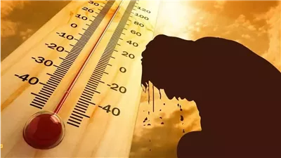 هيئة الأرصاد تحذر من طقس شديد الحرارة والرطوبة الثلاثاء 8 يوليو