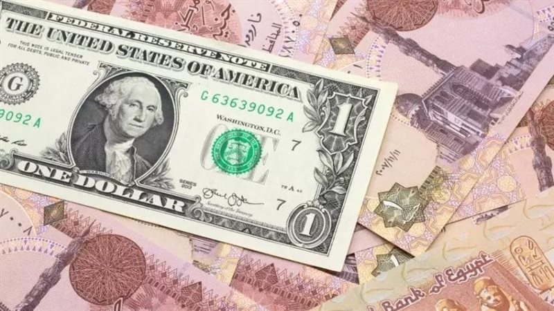 استقرار سعر الدولار