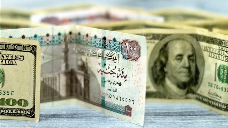 رتفاع جديد في سعر