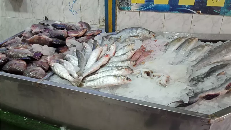 اسعار السمك اليوم