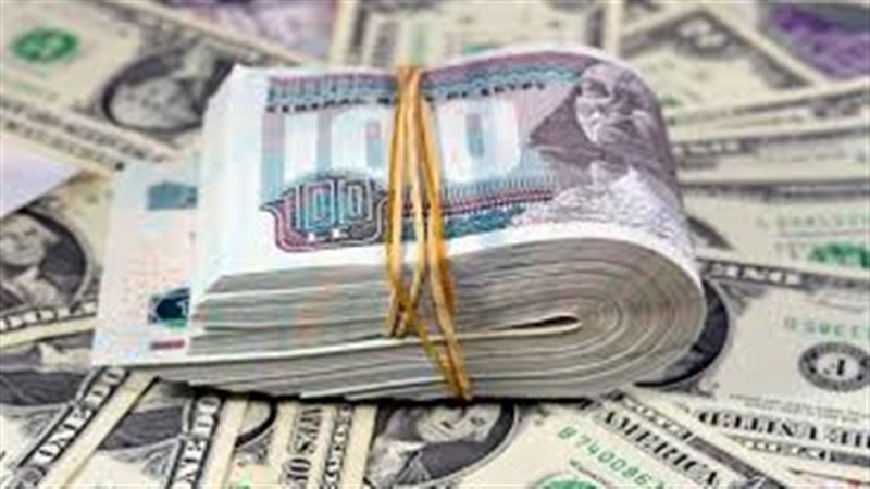 سعر الدولار اليوم