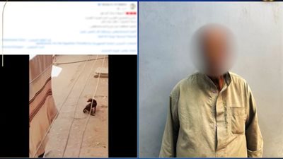 كشف ملابسات فيديو قيام مواطن بالاعتداء على كلب بماء ساخن في أسيوط
