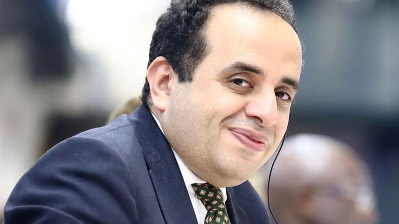 المستشار مينا رزق