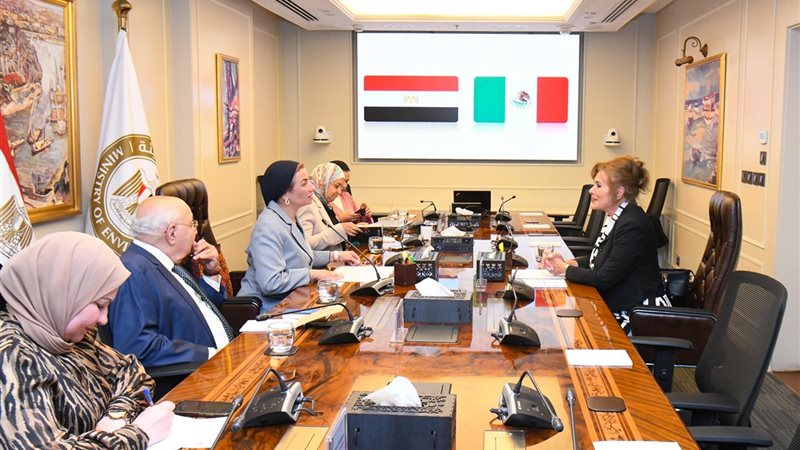 الدكتورة ياسمين فؤاد